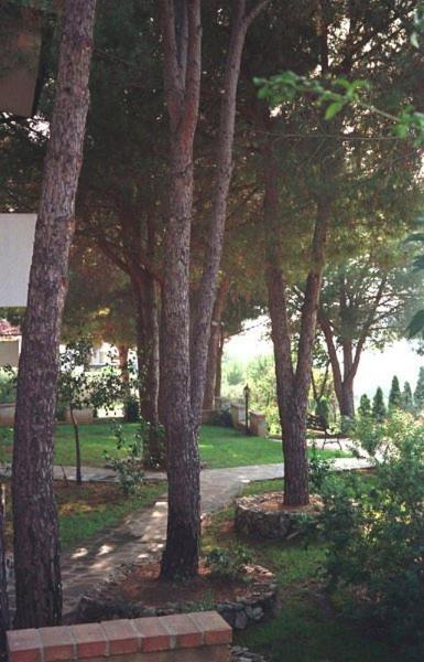 Villaggio Pineta Petto Bianco Capo Vaticano Buitenkant foto